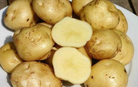 картофель